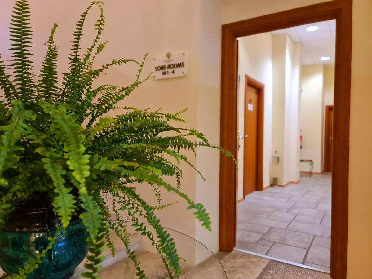 Hotel Stara šola - Oleander Resort Korte Exteriör bild
